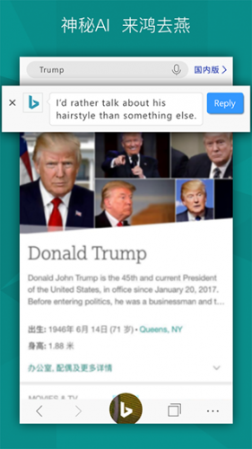 微软bing国际版