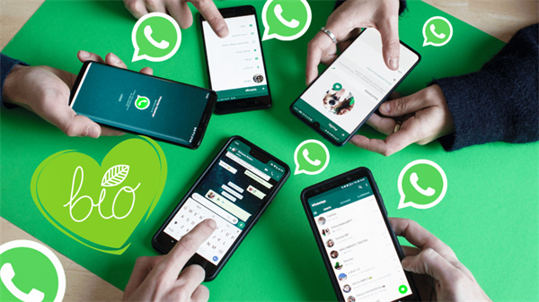 WhatsApp2025最新版