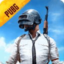 pubg体验服安装包最新版图标